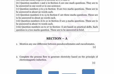 cbse class 10th science paper