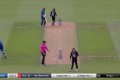 england vs new zealand