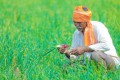 प्रधानमंत्री किसान सम्मान निधि pm kisan