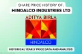hindalco share price