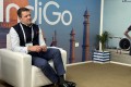 indigo ceo