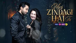 meri zindagi hai tu drama episode 32