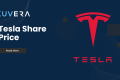 tesla share price
