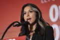 tulsi gabbard