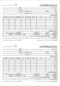 census self enumeration