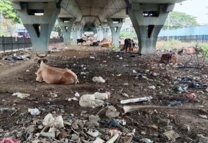 பல்லாவரம்