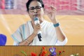 bengal cm
