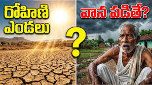 రోహిణి