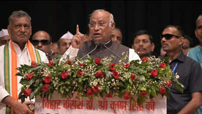 File photograph of Congress president Mallikarjun Kharge used in coverage of the political controversy