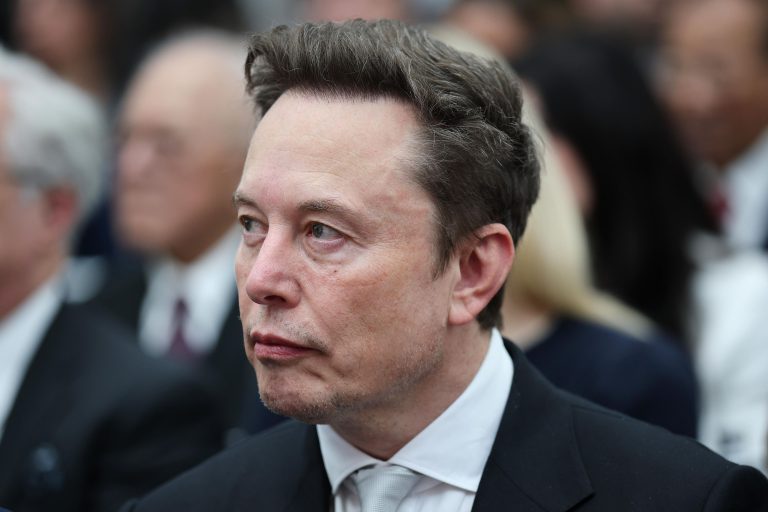 Elon Musk; image from Business Standard's report