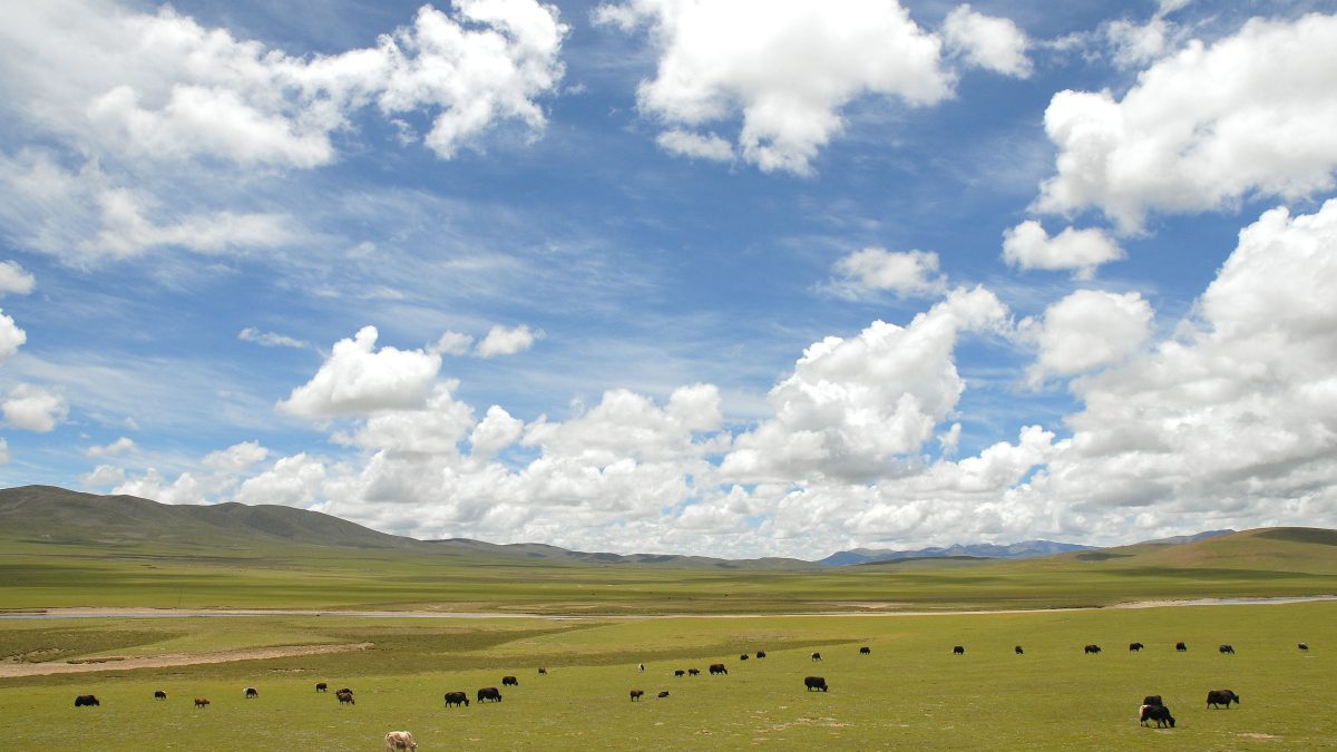 File photograph of the Tibetan Plateau, not earthquake damage