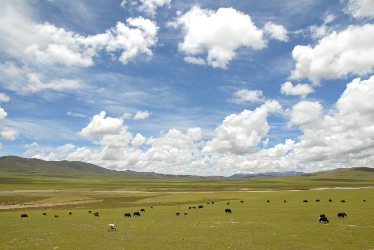 File photograph of the Tibetan Plateau, not earthquake damage